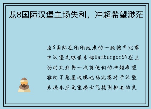 龙8国际汉堡主场失利，冲超希望渺茫