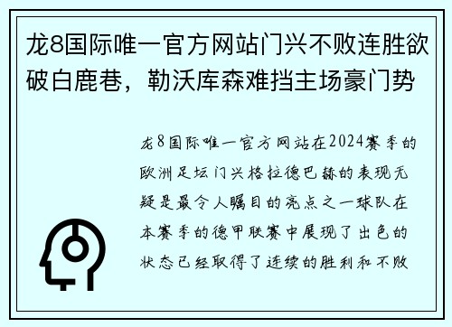 龙8国际唯一官方网站门兴不败连胜欲破白鹿巷，勒沃库森难挡主场豪门势头