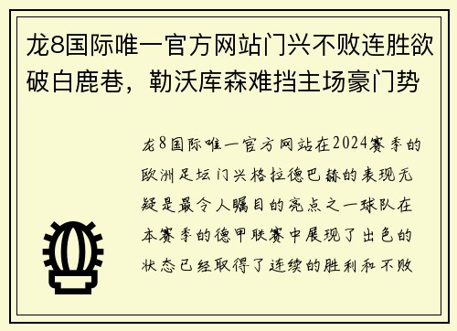 龙8国际唯一官方网站门兴不败连胜欲破白鹿巷，勒沃库森难挡主场豪门势头