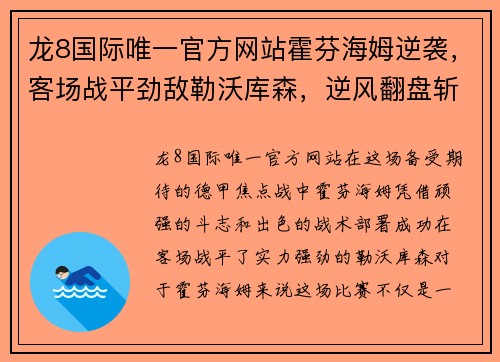 龙8国际唯一官方网站霍芬海姆逆袭，客场战平劲敌勒沃库森，逆风翻盘斩获关键一分 - 副本
