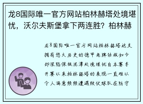 龙8国际唯一官方网站柏林赫塔处境堪忧，沃尔夫斯堡拿下两连胜？柏林赫塔VS沃尔夫 - 副本